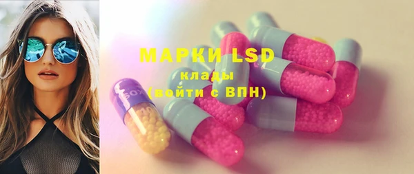индика Алексин
