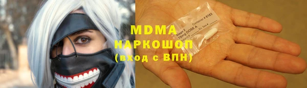 индика Алексин