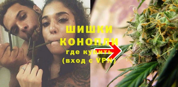 дурь Алзамай