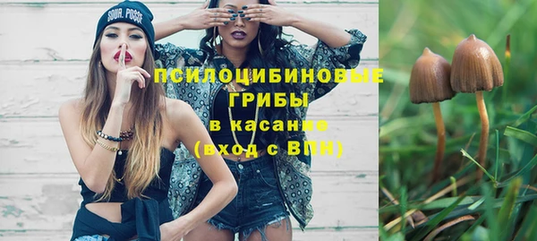 тгк Алексеевка