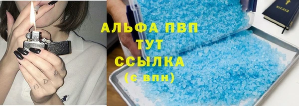 индика Алексин