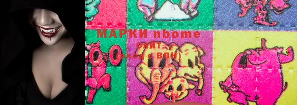 индика Алексин