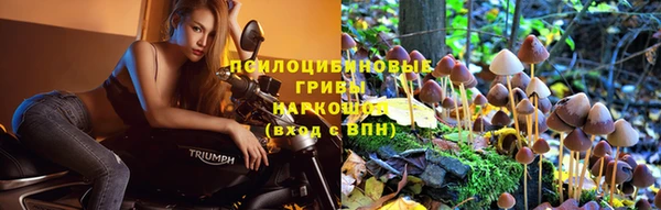 индика Алексин