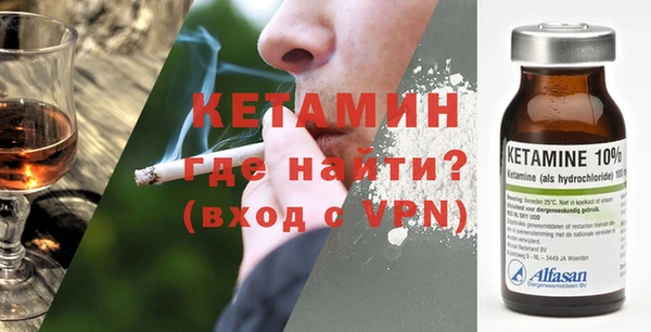 индика Алексин