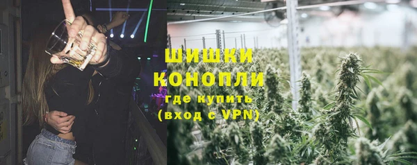 дурь Алзамай