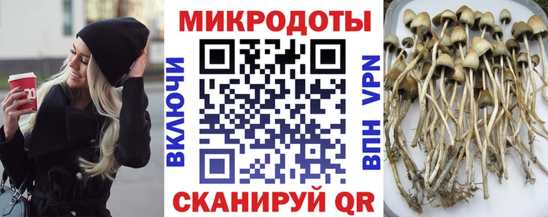 Галлюциногенные грибы Magic Shrooms  Ярцево 